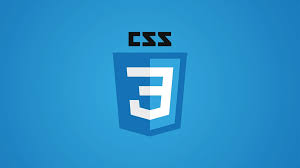 CSS PIC